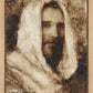 Our Shepherd