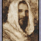 Our Shepherd