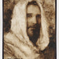 Our Shepherd