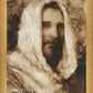Our Shepherd