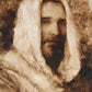 Our Shepherd