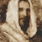 Our Shepherd