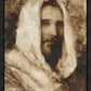 Our Shepherd