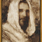 Our Shepherd