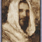 Our Shepherd