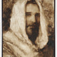 Our Shepherd