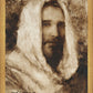 Our Shepherd