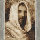 Our Shepherd
