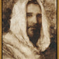 Our Shepherd