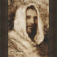 Our Shepherd