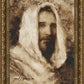 Our Shepherd