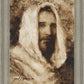 Our Shepherd