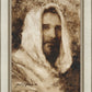 Our Shepherd