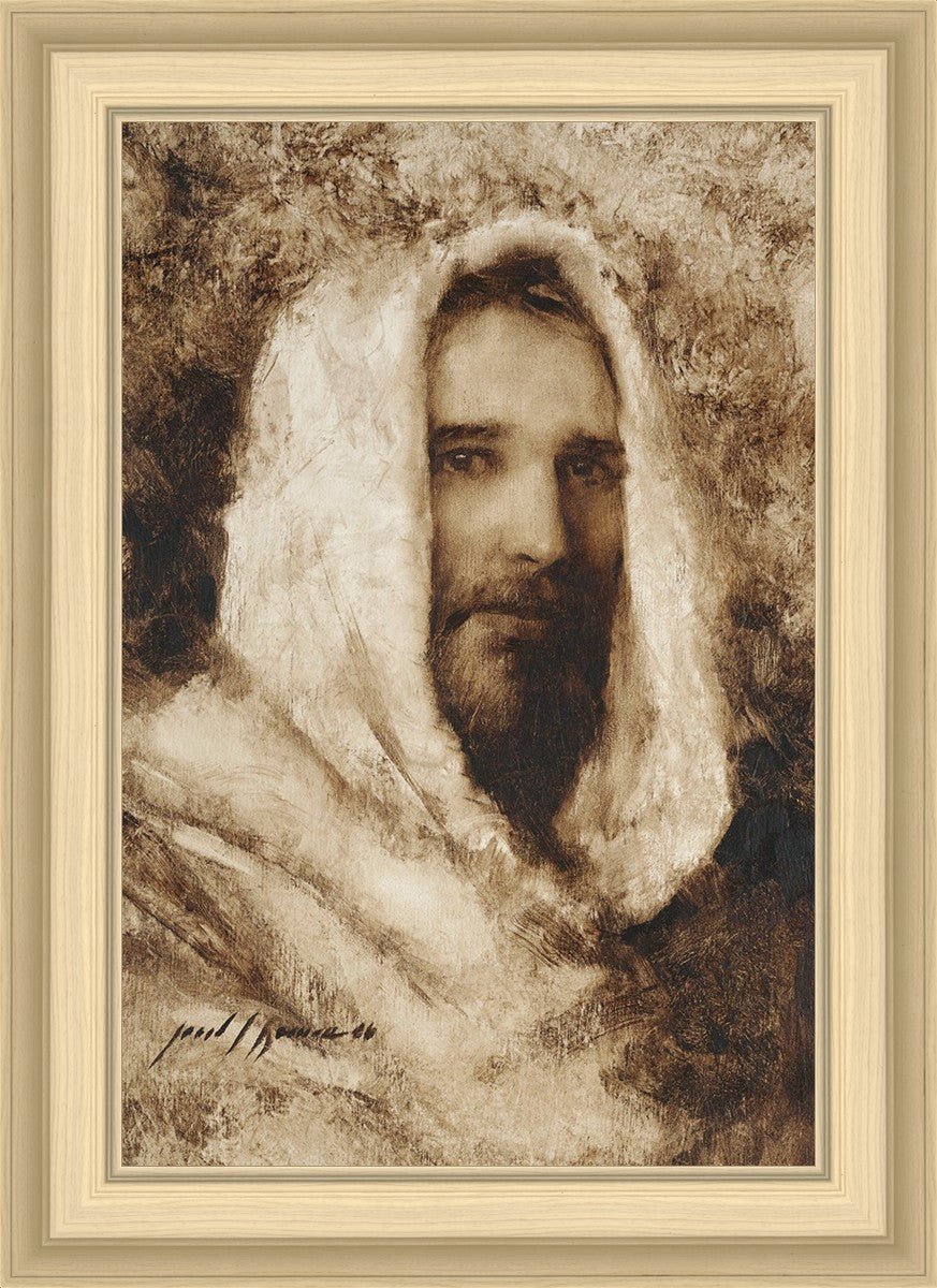 Our Shepherd
