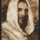 Our Shepherd