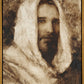 Our Shepherd
