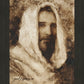 Our Shepherd