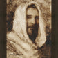 Our Shepherd