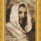 Our Shepherd