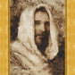Our Shepherd