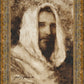 Our Shepherd