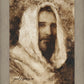 Our Shepherd