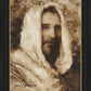 Our Shepherd