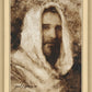 Our Shepherd