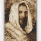 Our Shepherd