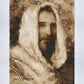 Our Shepherd