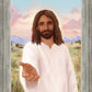 Take His Hand