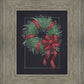 36 Carols