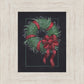 36 Carols