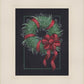 36 Carols