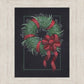 36 Carols