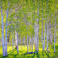 Early Morning Light in the Wasatch Backcountry