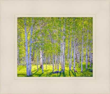 Early Morning Light in the Wasatch Backcountry