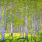 Early Morning Light in the Wasatch Backcountry