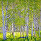 Early Morning Light in the Wasatch Backcountry