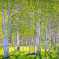 Early Morning Light in the Wasatch Backcountry