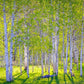Early Morning Light in the Wasatch Backcountry