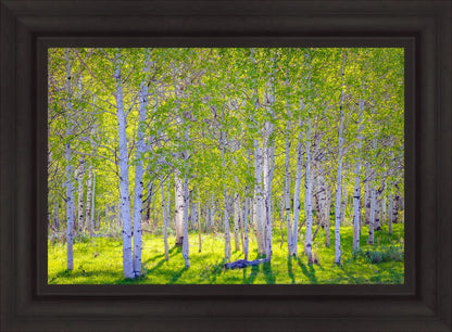 Early Morning Light in the Wasatch Backcountry