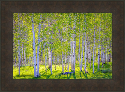 Early Morning Light in the Wasatch Backcountry