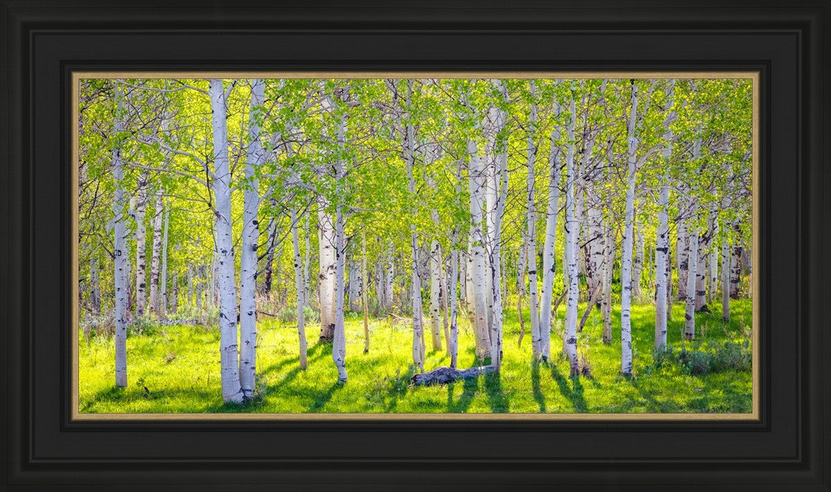 Early Morning Light in the Wasatch Backcountry