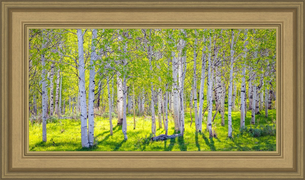 Early Morning Light in the Wasatch Backcountry