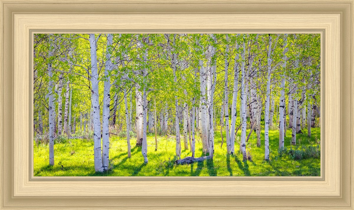 Early Morning Light in the Wasatch Backcountry