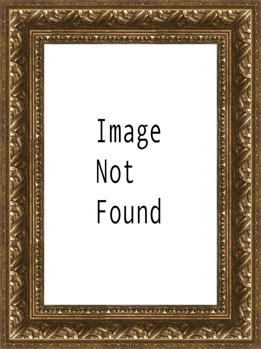 Sunrise Over Mt. Timpanogos, Utah