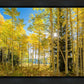 Autumn in the Rocky Mountains, Wasatch National Forest, Utah