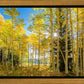 Autumn in the Rocky Mountains, Wasatch National Forest, Utah