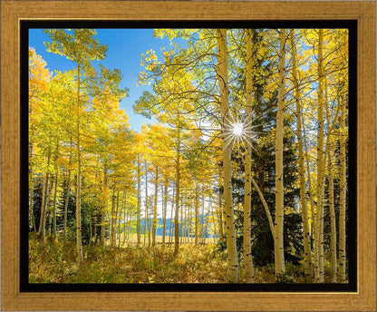 Autumn in the Rocky Mountains, Wasatch National Forest, Utah